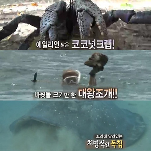 <화면캡처=SBS '정글의 법칙 in 바누아투'>