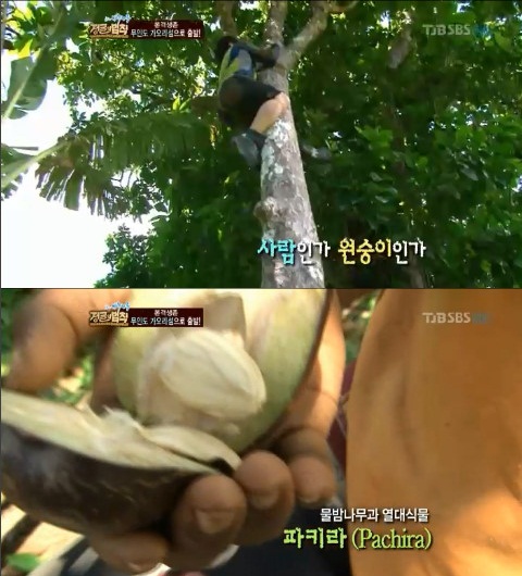 ⓒ출처=SBS '정글의 법칙 in 바누아투' 방송화면