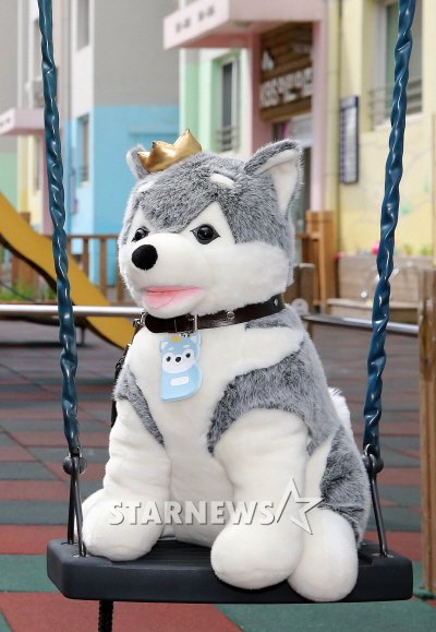 브라우니 ⓒ사진=이동훈 기자