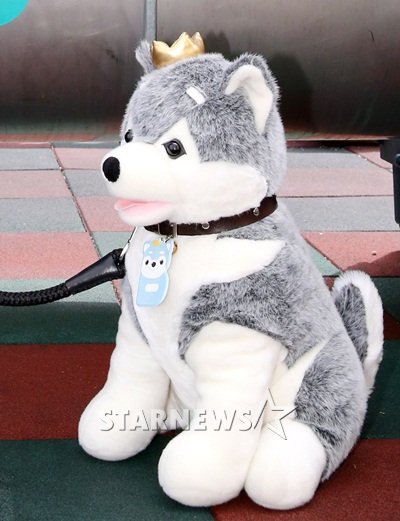 브라우니 ⓒ사진=이동훈 기자
