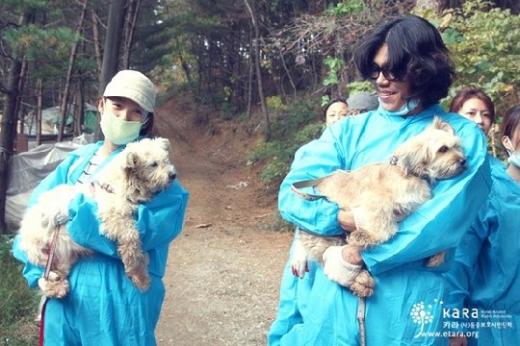 <사진= 카라(사) 동물보호시민단체>