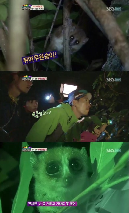 <화면캡처=SBS '일요일이 좋다-정글의 법칙in마다가스카르'>