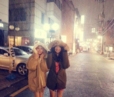 <사진=박규리 트위터>