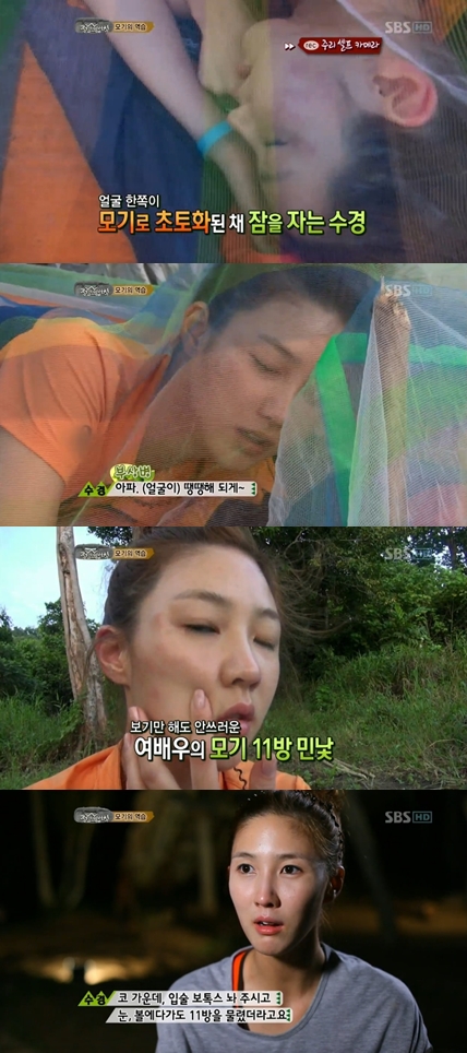 <화면캡처= SBS '정글의 법칙W'> 