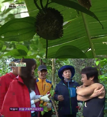 <화면캡처- SBS 예능 '정글의 법칙 in 아마존'>