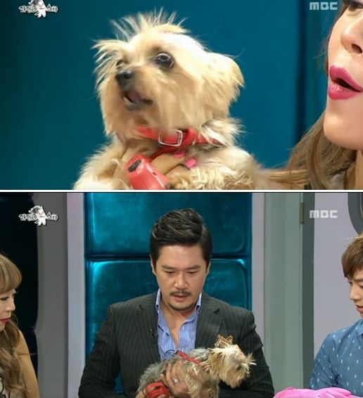 /사진='라디오 스타' 방송 화면 캡쳐 