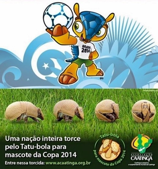 브라질 월드컵 공식 마스코트인 풀레코. /사진=브라질 Caatinga 협회