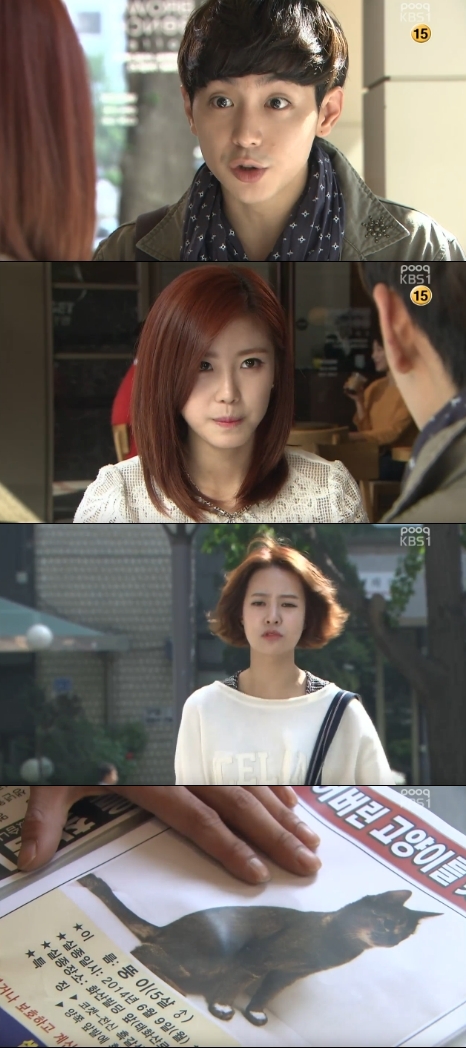 /사진=KBS 1TV '고양이는 있다' 방송화면