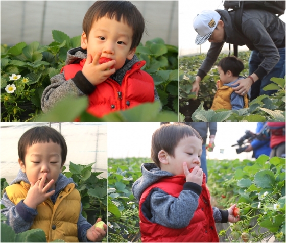/사진제공= KBS 2TV '해피선데이 -슈퍼맨이 돌아왔다'