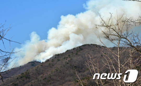 수원 광교산 일원에서 화재가 발생해 소방당국이 화재진화에 나서고 있다. /사진=뉴스1