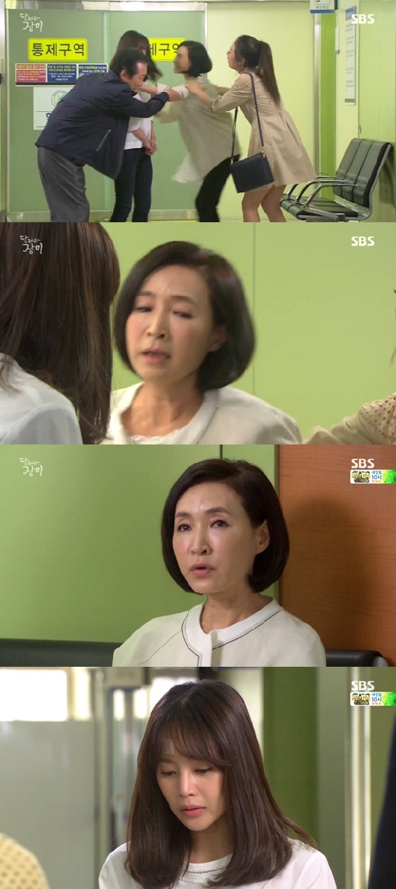/사진=SBS '달려라 장미' 방송화면 캡쳐
