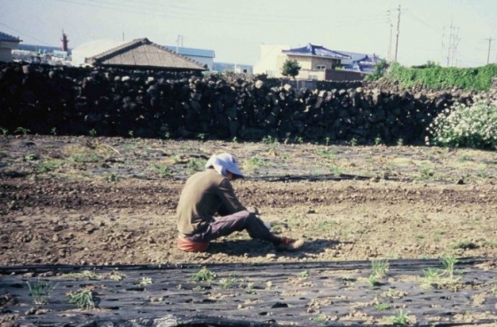 밭농사 중인 루시드폴 /사진=오하나, 조윤석(루시드폴)