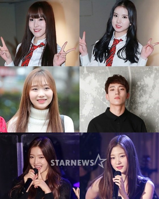 (왼쪽 위부터 시계방향으로) 여자친구 유주, 은하, 세븐틴 도겸, 다이아 채연, 은진, 러블리즈 류수정 / 사진=스타뉴스
