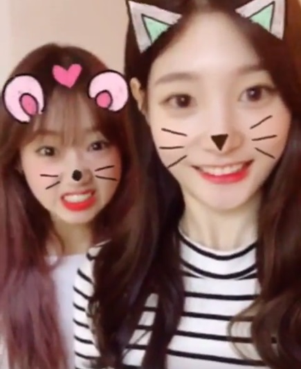 /사진=정채연 인스타그램