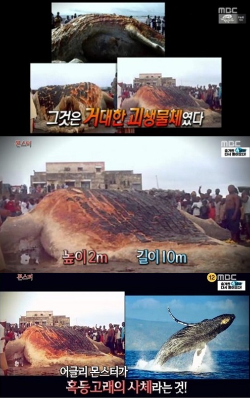 /사진=방송화면 캡처