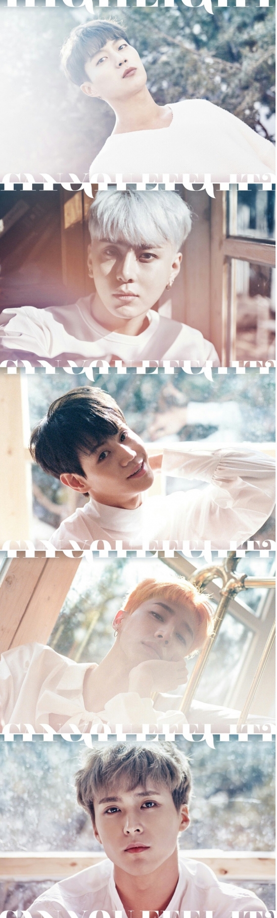 하이라이트