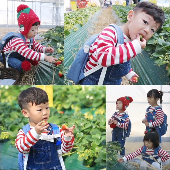 /사진제공=KBS 2TV '해피선데이-슈퍼맨이 돌아왔다'