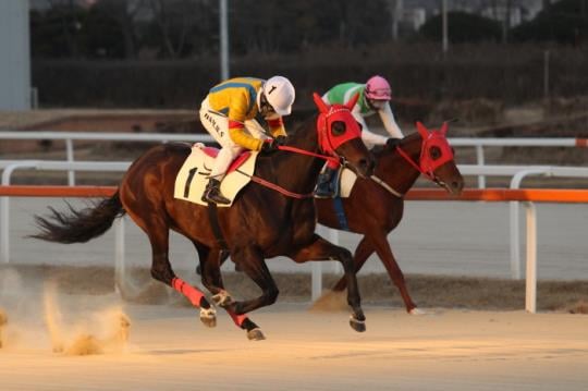 클린업천하가 가장먼저 결승선을 통과하고 있다./사진제공=한국마사회