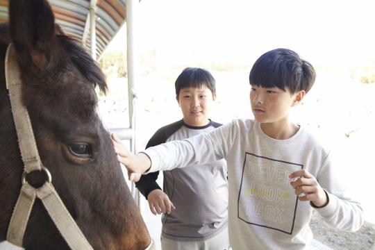 말 관리법을 배우고 있는 토평초등학교 어린이/사진=한국마사회 제공