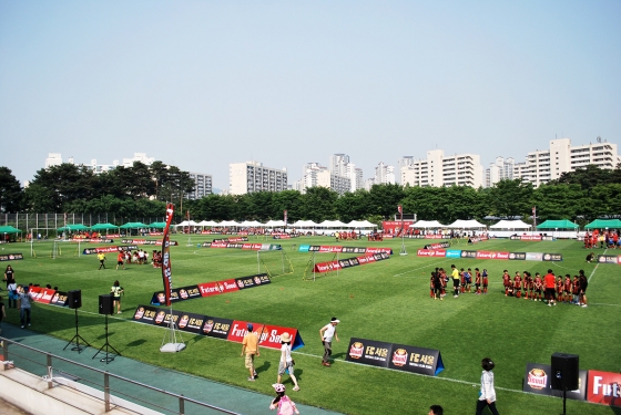 천연 잔디 보조구장 /사진=FC서울 제공