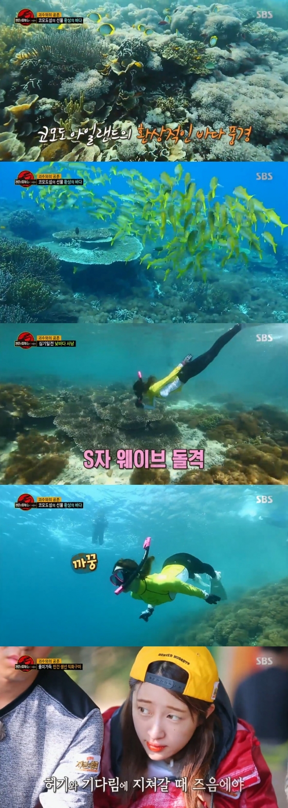/사진=SBS 예능프로그램 '정글의 법칙' 방송화면 캡처