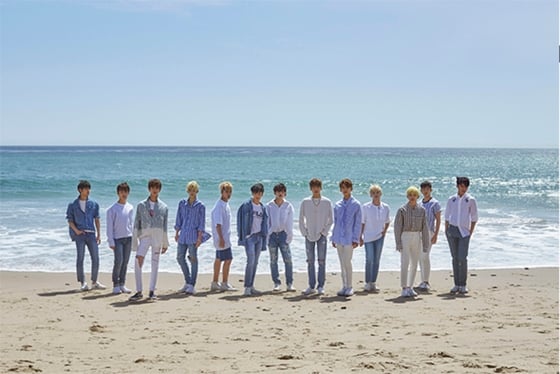 세븐틴 / 사진제공=플레디스