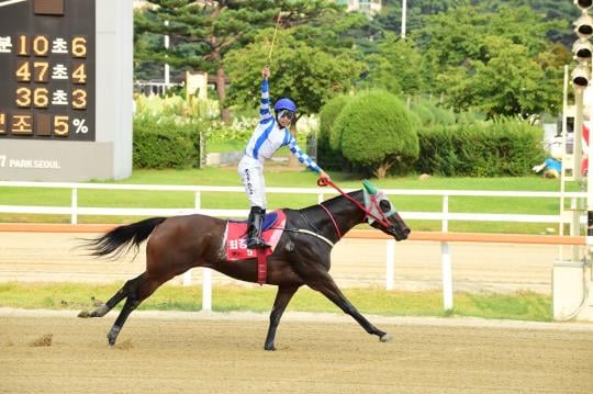 최강실러가 가장빨리 결승서을 통과하고 있다/사진제공=한국마사회