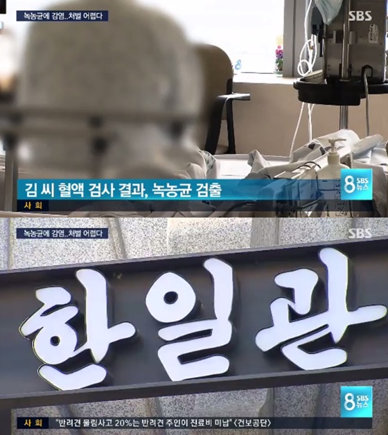 /사진=SBS 뉴스 방송화면 캡처