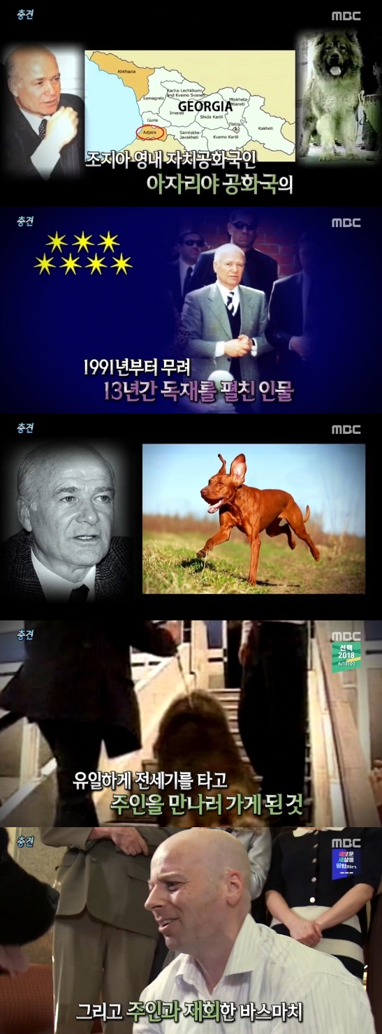 /사진='서프라이즈' 방송화면 캡처