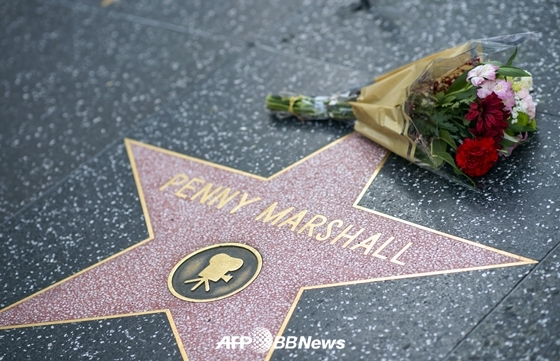 미국 영화 배우 겸 감독 페니 마샬이 향년 75세로 별세했다. 페니 마샬의 이름이 새겨진 할리우드 명예의 거리에 추모의 꽃다발이 놓여 있다. /AFPBBNews=뉴스1