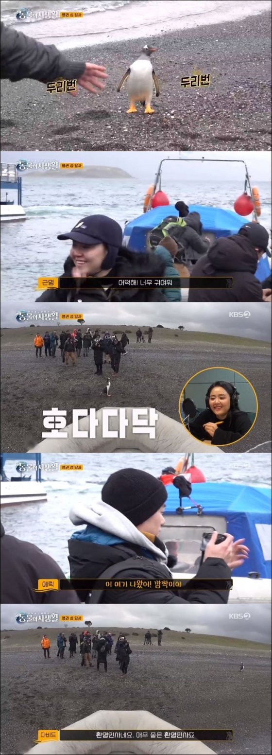 /사진=KBS 2TV '동물의 사생활' 방송화면 캡처