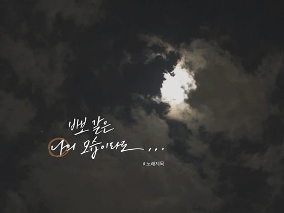 /사진제공=플레디스엔터테인먼트
