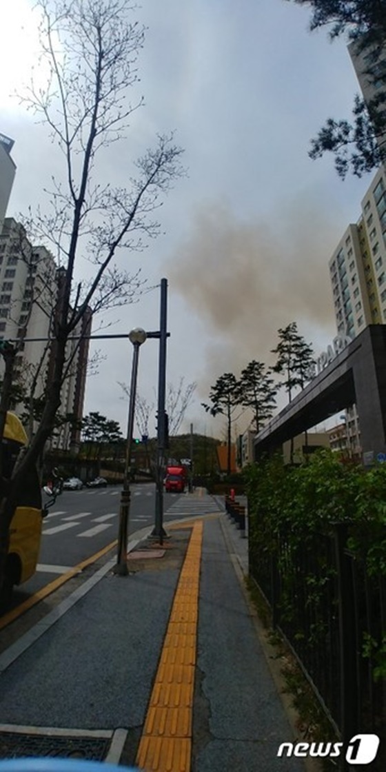 대전의 한 야산에서 산불이 발생했다./사진=뉴스1(독자제공)