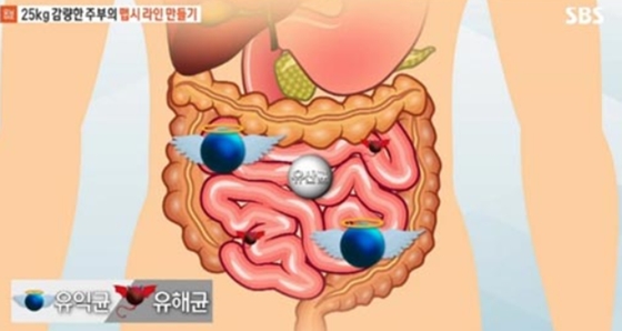 /사진=SBS '모닝와이드' 방송화면