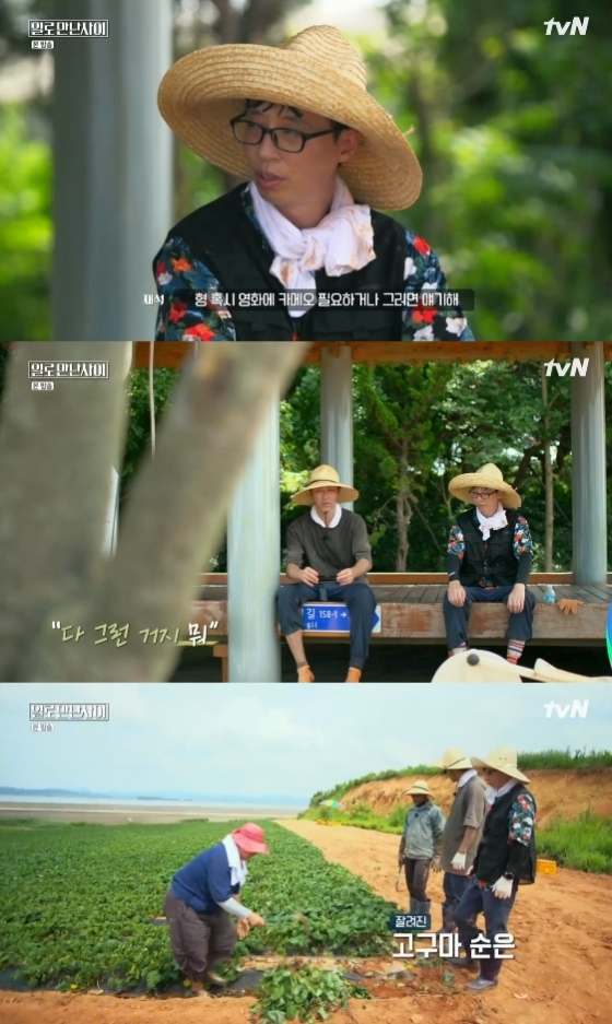 /사진= tvN 예능프로그램 '일로 만난 사이' 방송화면 캡처