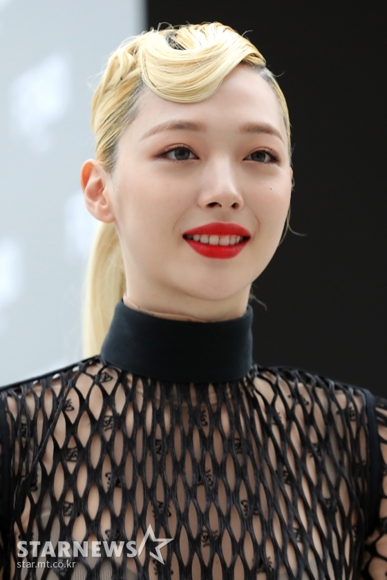 설리 /사진=스타뉴스
