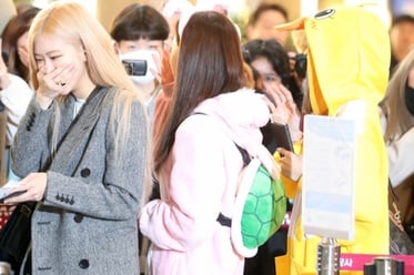 ������ũ ����-���� '�Ϳ��� �䳢�� ����'