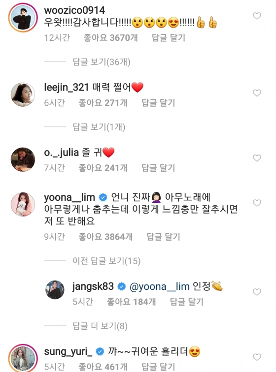 가수 지코, 이진·옥주현, 윤아·지코, 성유리의 댓글 /사진=이효리 인스타그램