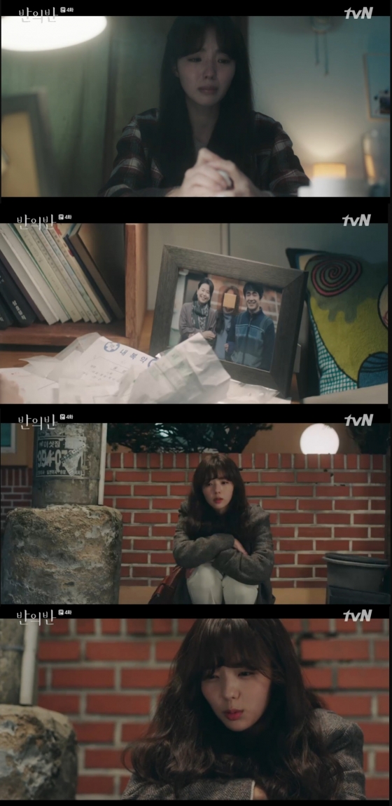 /사진=tvN '반의반' 캡처
