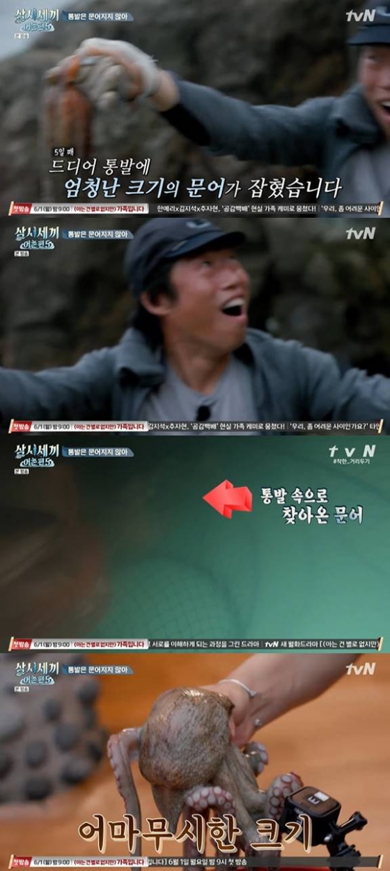 /사진=tvN \'삼시세끼\' 방송화면 캡처