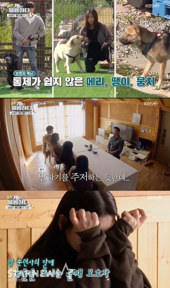 /사진= KBS 2TV 예능 \'개는 훌륭하다\' 방송 화면