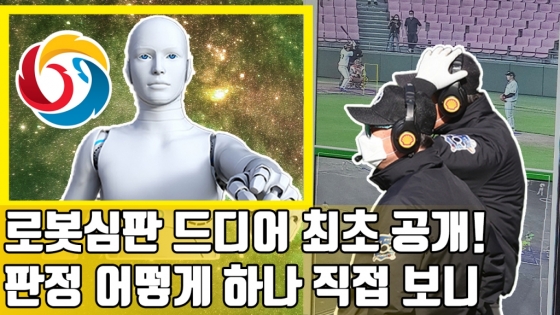 /그래픽=김혜림 기자
