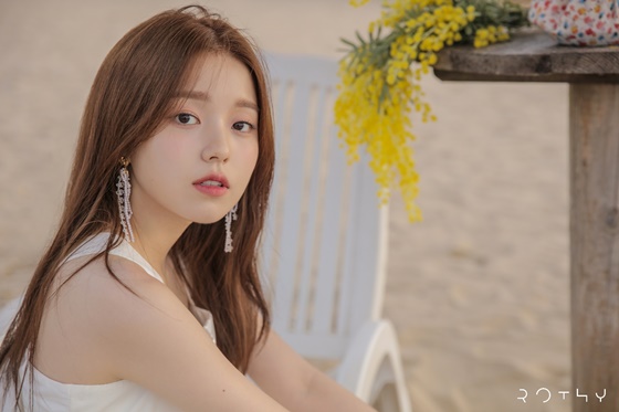 /사진제공=도로시컴퍼니