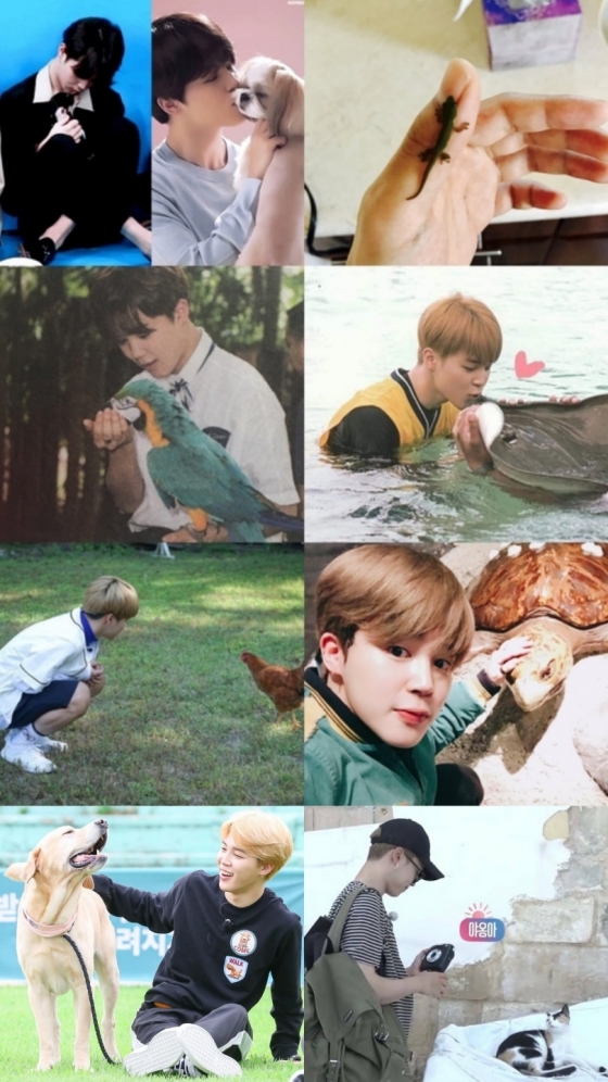 방탄소년단 지민(BTS JIMIN)
