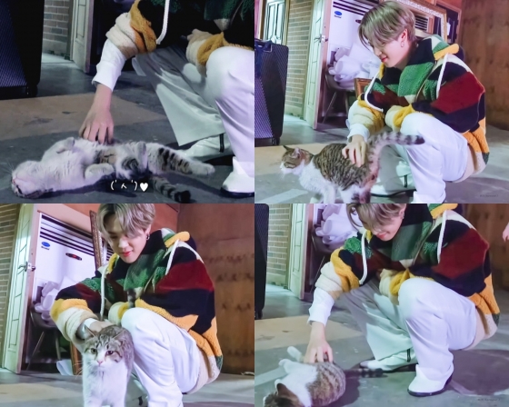 방탄소년단 지민(BTS JIMIN) /사진=BANGTAN TV