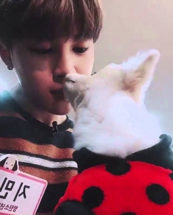 방탄소년단 지민(BTS JIMIN)