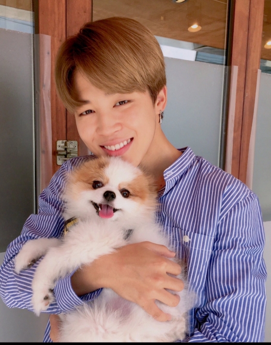 방탄소년단 지민(BTS JIMIN)