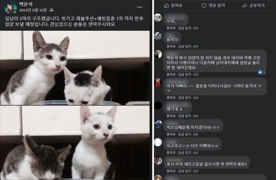 /사진=B씨가 박은석 팬카페에 올린 사진 