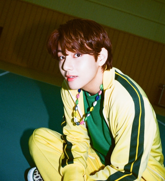 방탄소년단 뷔(BTS V)