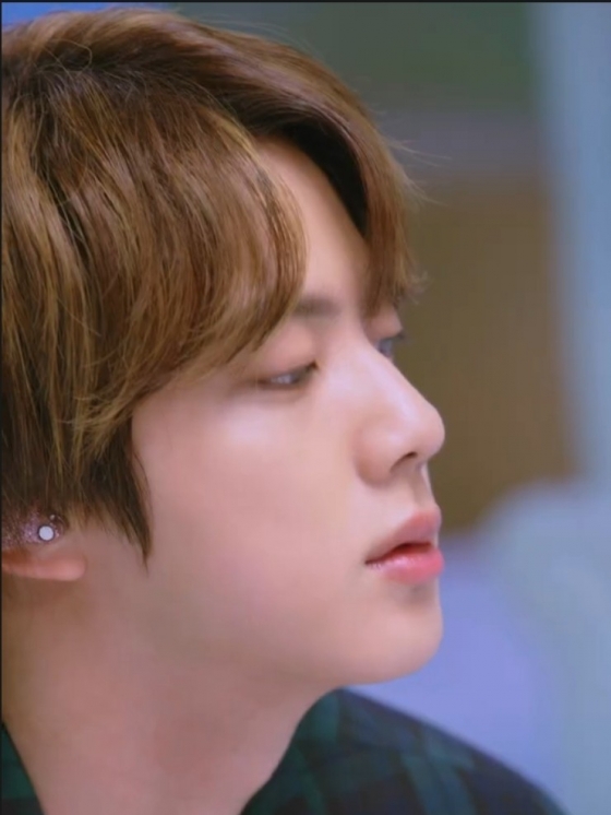 방탄소년단 진(BTS JIN)